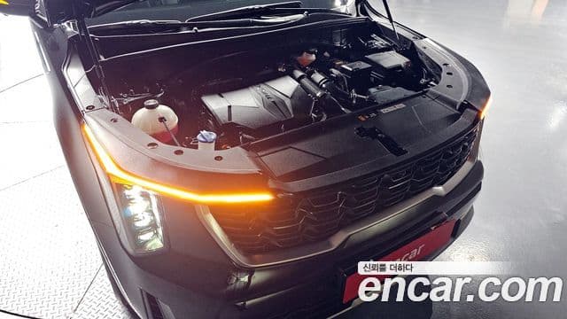 Kia Sorento 2024 — ფოტო 6/20