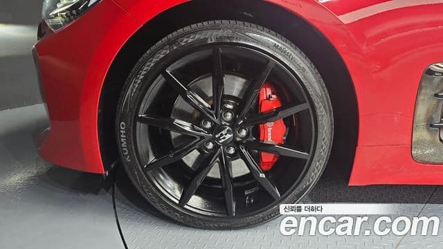 Kia Stinger 2020 — ფოტო 5/20