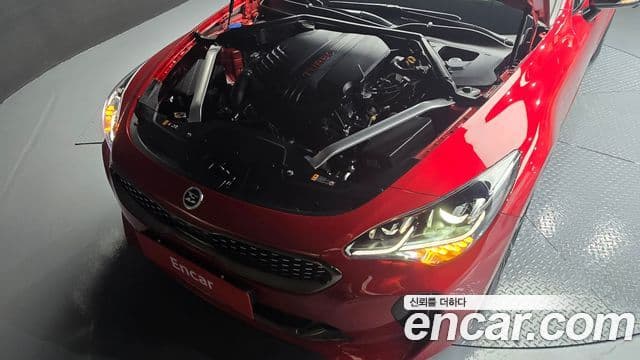 Kia Stinger 2020 — ფოტო 6/20