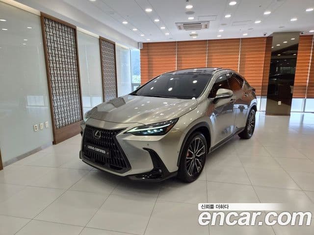 Lexus NX350h 2023 — Şəkil 15/15