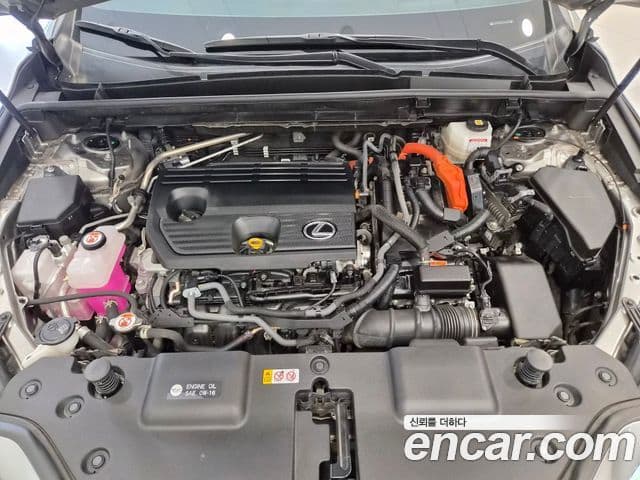 Lexus NX350h 2023 — Şəkil 5/15