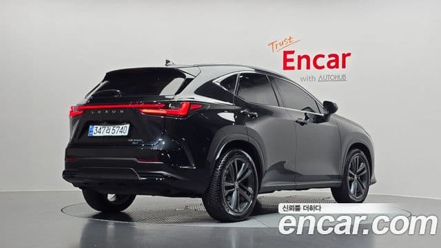 Lexus NX350h 2023 — Şəkil 2/20