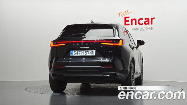 Lexus NX350h 2023 — Şəkil 4/20