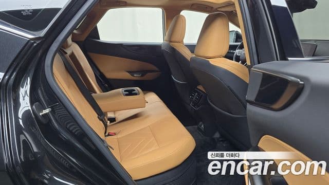 Lexus NX350h 2023 — Şəkil 11/20