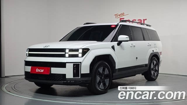 Hyundai Santa Fe 2024 — ფოტო 1/20