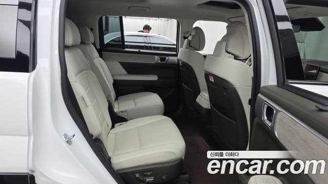 Hyundai Santa Fe 2024 — ფოტო 12/20