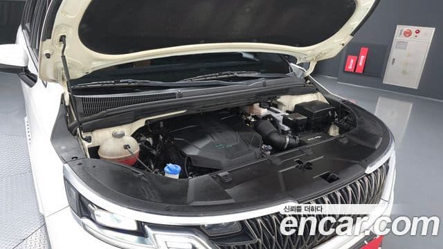 Kia Carnival 2020 — Şəkil 6/20
