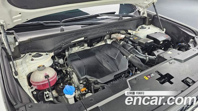 Hyundai Santa Fe 2024 — ფოტო 6/20