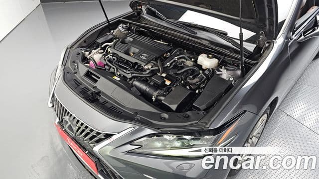 Lexus ES300h 2023 — ფოტო 6/20