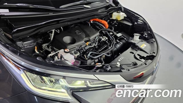 Toyota Sienna 2025 — ფოტო 6/20
