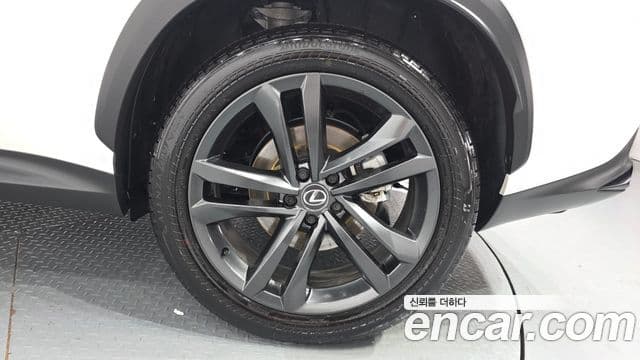 Lexus NX350h 2025 — Şəkil 5/20
