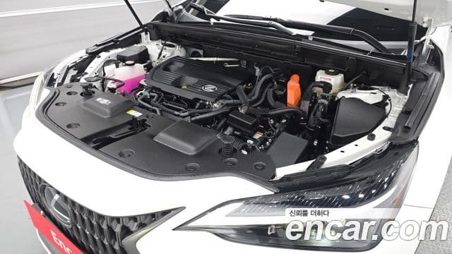 Lexus NX350h 2025 — Şəkil 6/20