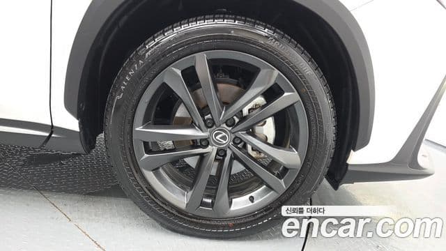 Lexus NX350h 2025 — Photo 4/30