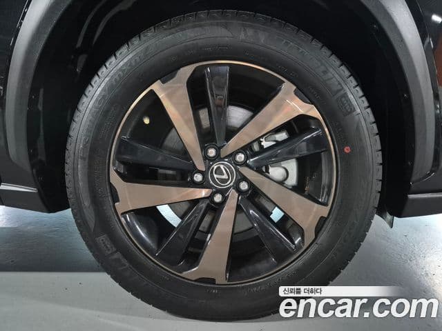 Lexus NX300h 2021 — Şəkil 4/20
