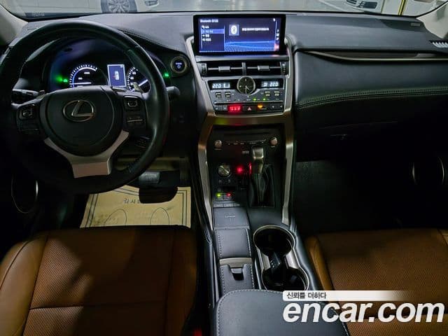 Lexus NX300h 2021 — Şəkil 8/20