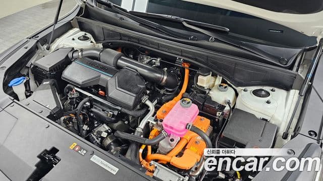 Kia Sorento 2025 — фото 6 из 20