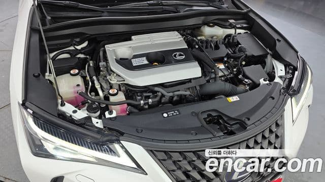 Lexus UX250h 2019 — Şəkil 5/20