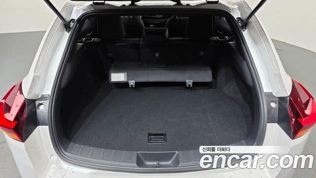 Lexus UX250h 2019 — Şəkil 20/20
