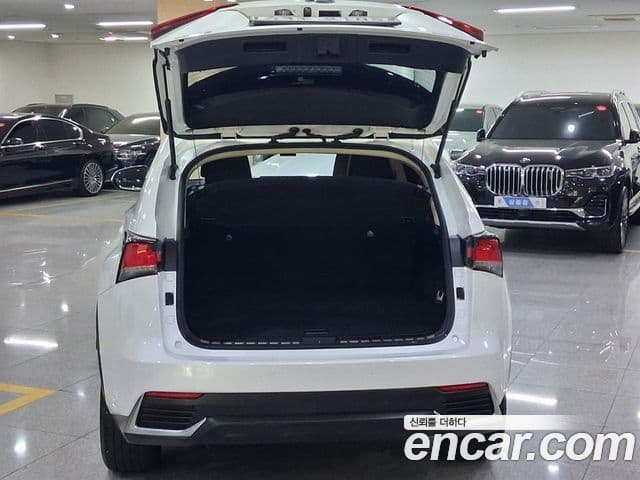 Lexus NX300h 2018 — Şəkil 4/20