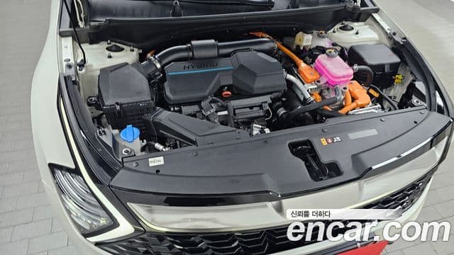 Kia Sportage 2024 — Şəkil 6/20