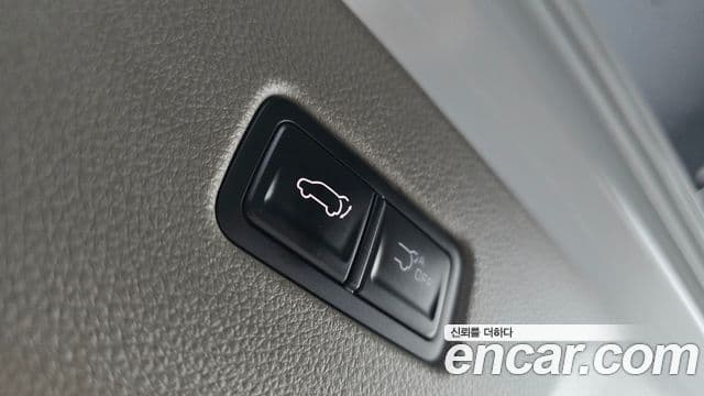Kia Carnival 2025 — ფოტო 20/20