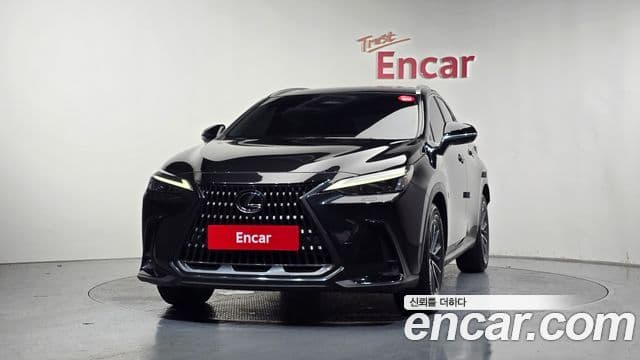 Lexus NX450h+ 2023 — ფოტო 17/20