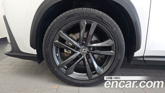 Lexus NX350h 2023 — Photo 22/36