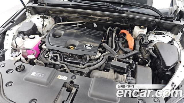 Lexus NX350h 2023 — Photo 10/36
