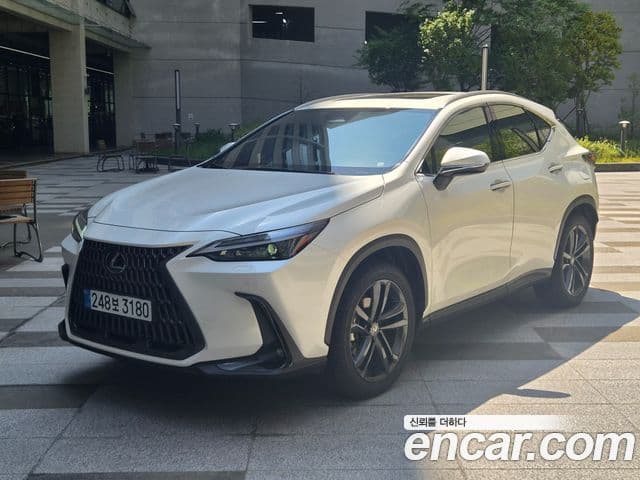 Lexus NX350h 2025 — Фото 10/20