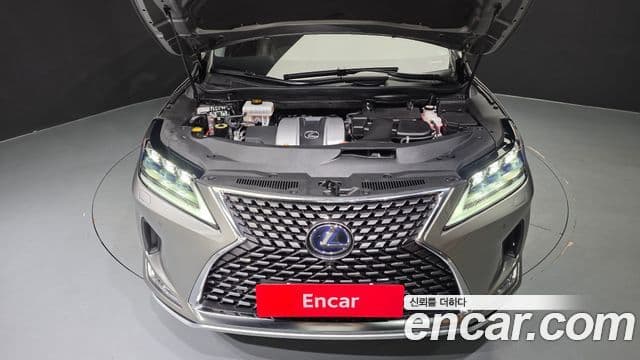 Lexus RX450h 2021 — Фото 6/20