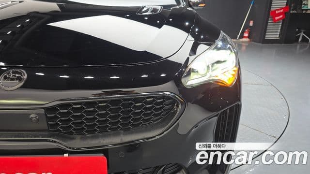 Kia Stinger 2019 — ფოტო 23/36