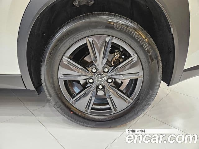 Lexus UX300h 2025 — Фото 5/15