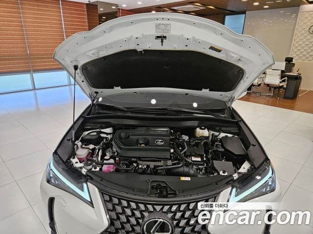 Lexus UX300h 2025 — Фото 6/15