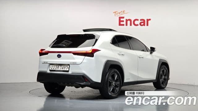 Lexus UX250h 2021 — Şəkil 19/20