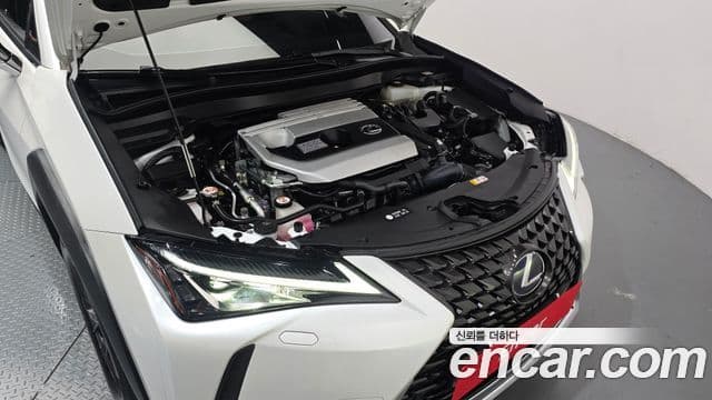 Lexus UX250h 2021 — Şəkil 1/20