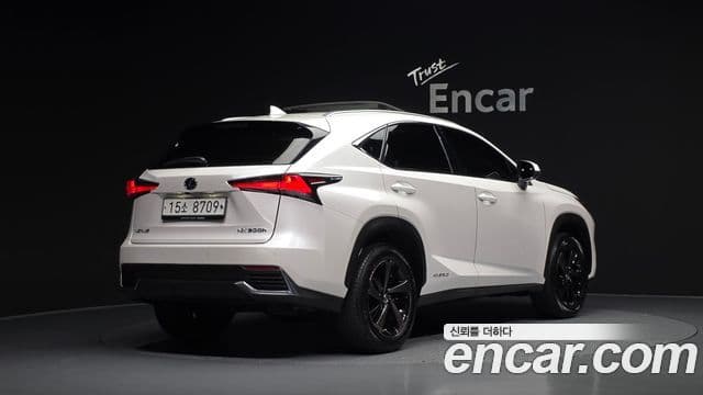 Lexus NX300h 2019 — Фото 2/20