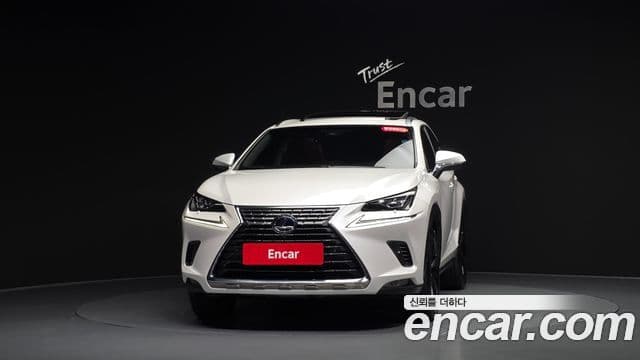 Lexus NX300h 2019 — Фото 3/20