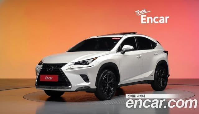 Lexus NX300h 2019 — Фото 1/20