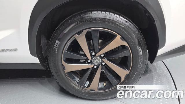 Lexus NX300h 2019 — ფოტო 15/32