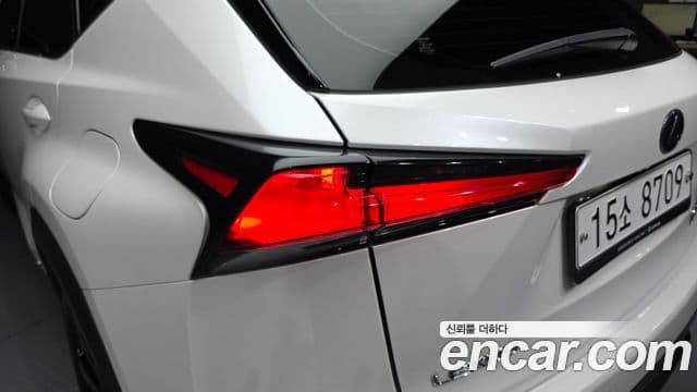 Lexus NX300h 2019 — ფოტო 6/32