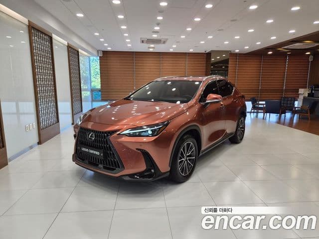 Lexus NX450h+ 2025 — Фото 15/15
