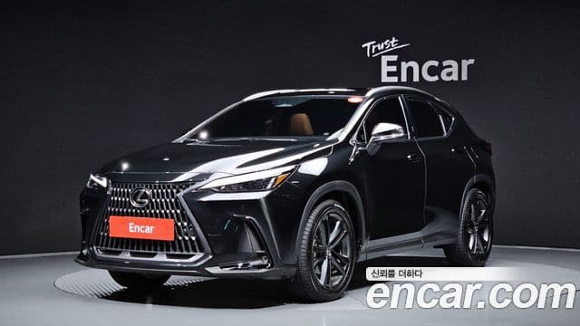 Lexus NX350h 2025 — Фото 9/20