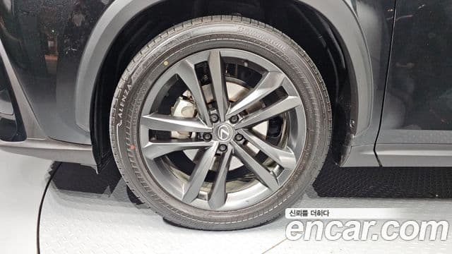 Lexus NX350h 2025 — Фото 4/20