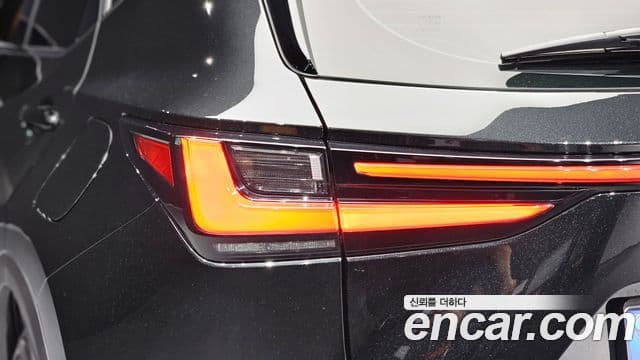 Lexus NX350h 2025 — Photo 15/34