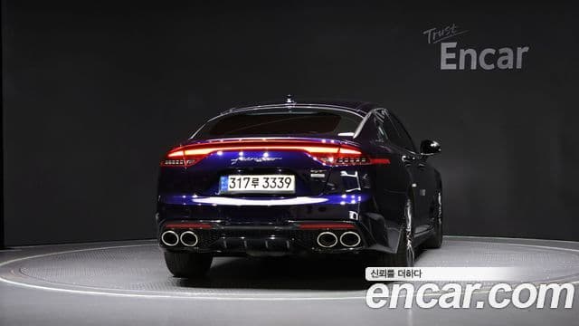 Kia Stinger Meister 2021 — ფოტო 4/20