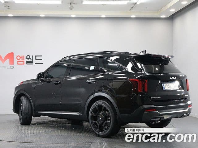 Kia Sorento 2024 — ფოტო 4/20
