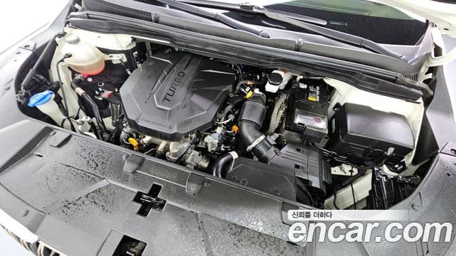 Kia Carnival 2021 — Фото 6/20