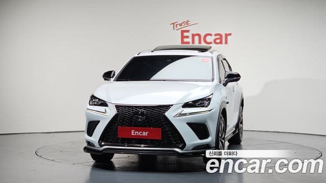 Lexus NX300 2020 — ფოტო 3/20