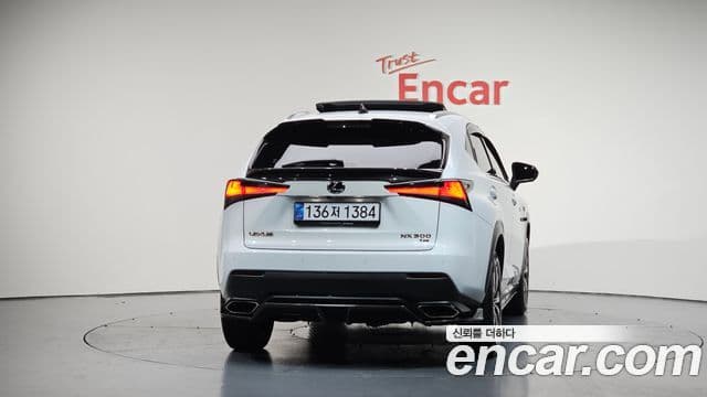 Lexus NX300 2020 — ფოტო 4/20