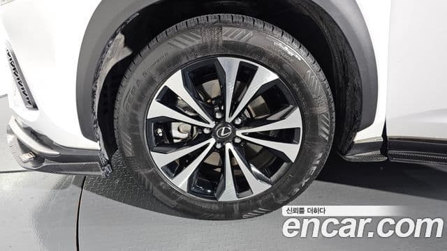 Lexus NX300 2020 — ფოტო 5/20